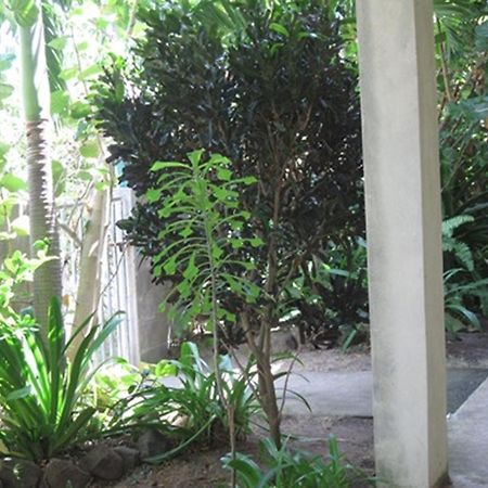 Hotel Culture House Basseterre Exterior foto